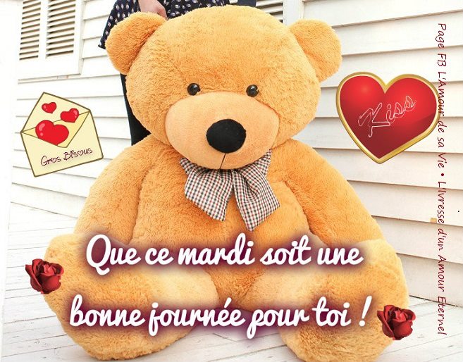 Que ce mardi soit une bonne journée pour toi! 