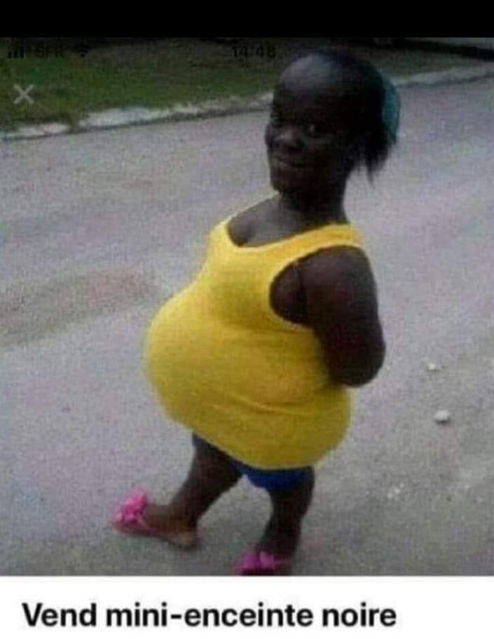 ancienne version: enceinte noire