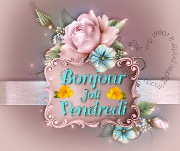 Bonjour, Joli Vendredi (4)