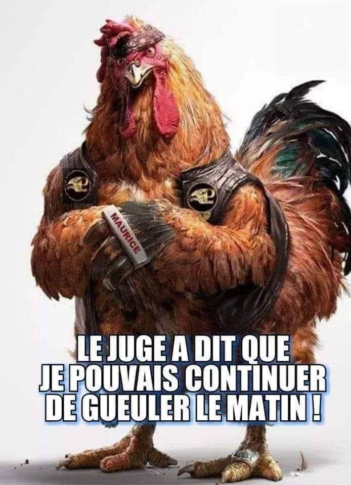 Bonne nouvelle 