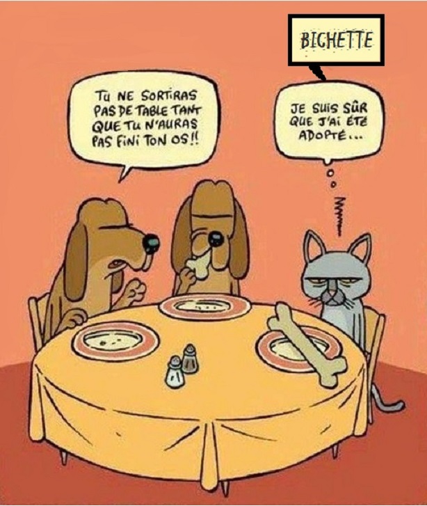 PAUVRE BICHETTE 