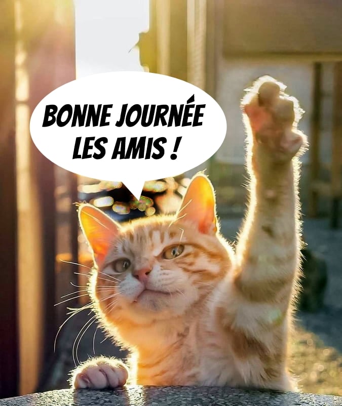 bonne journée