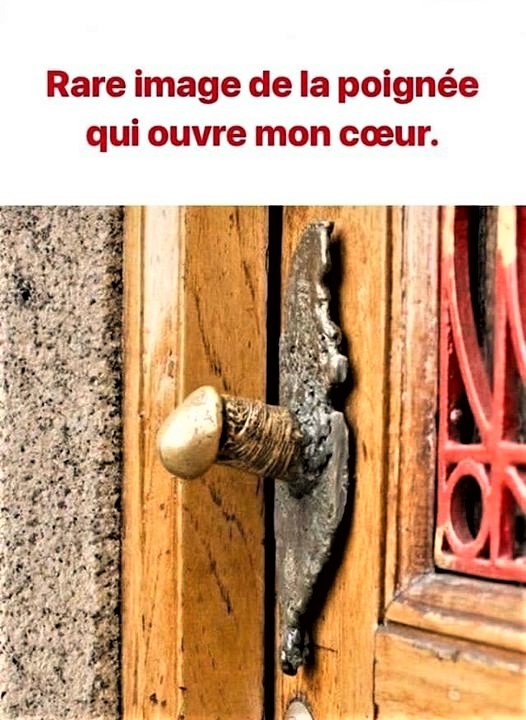 £  Bonne prise en main 