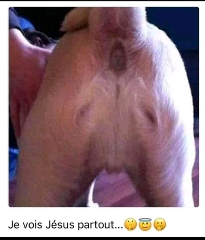 pas de chance pour la tête...
