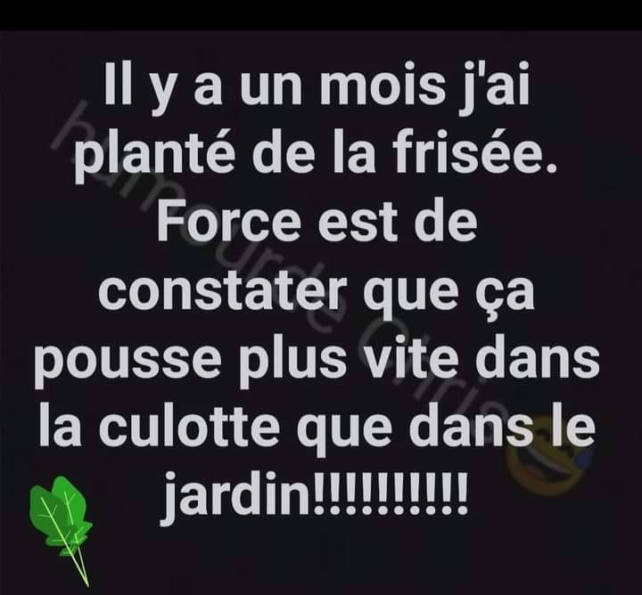 seul rita peut donner la réponse !!!!!