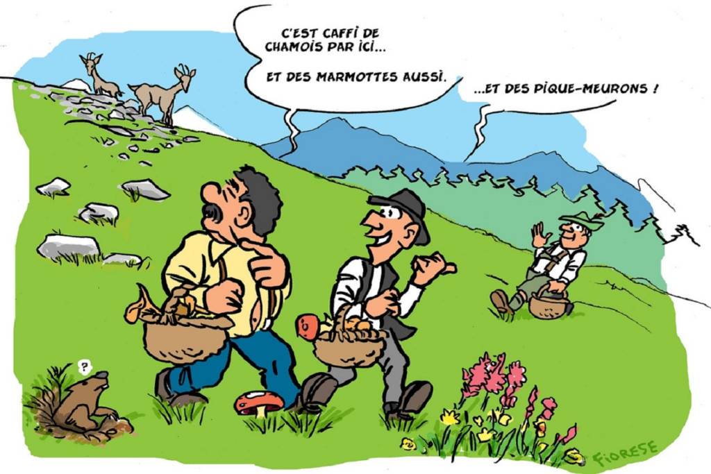 Coucou populos 