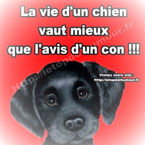 £  Je confirme