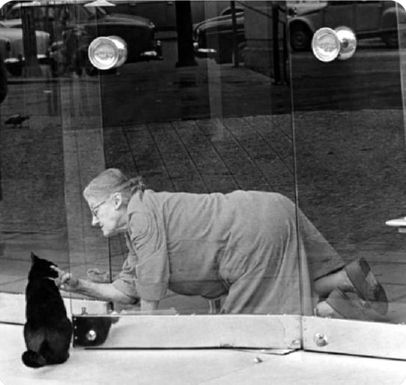 Le chat à la porte 1971. Paris