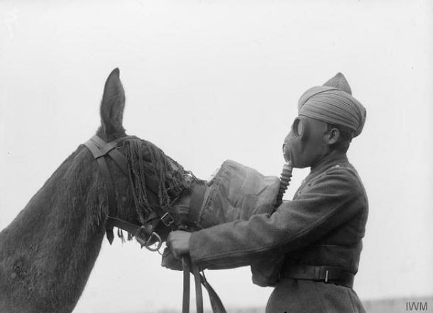 Pendant la seconde guerre mondiale, un homme place un masque à gaz devant un cheval