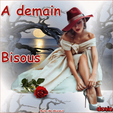 Bonsoir mes amies(is) 