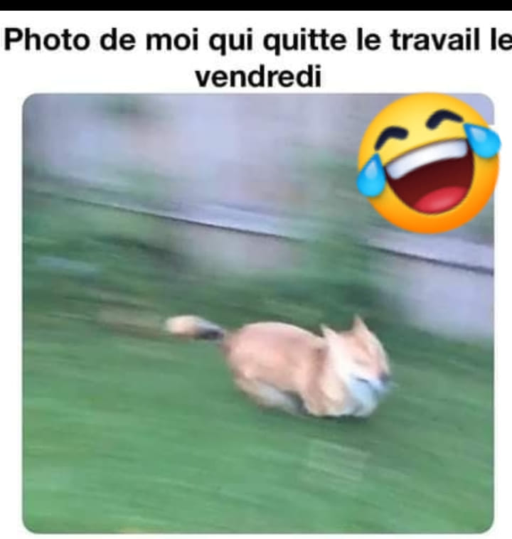 hahahahaha
