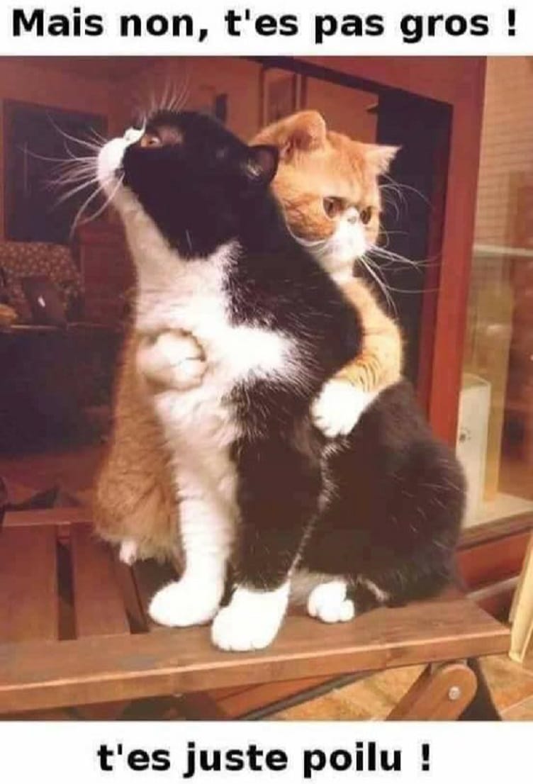 je ne dirais rien !!!! MDR