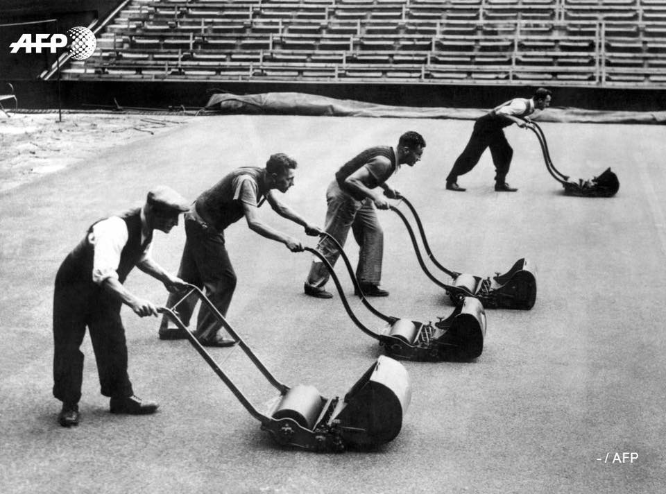 À Wimbledon En 1939, on prépare la pelouse avant l’ouverture du tournoi