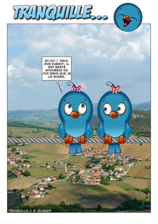 Ah le français ! L