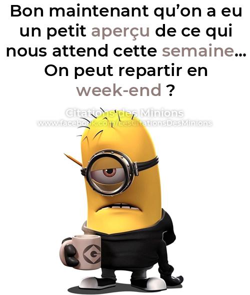Tu sais si quel jour on est Photos Droles