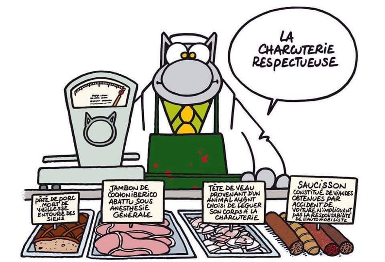 Le Chat vous parle