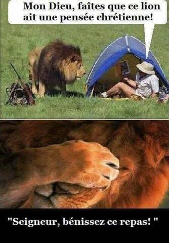 Le roi lion