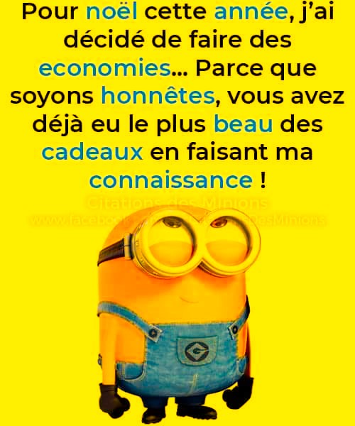 Les Minions, collection