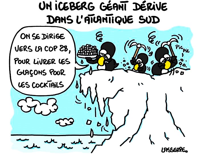 La bêtise humaine est vraiment sans limite triste réalité 
