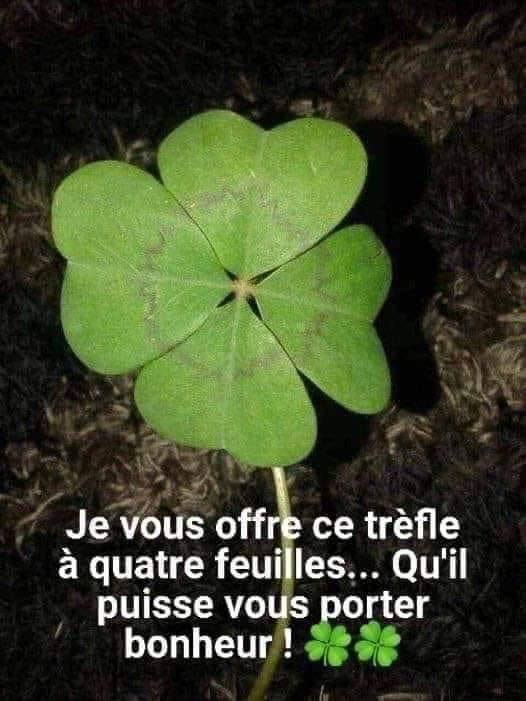 Pour tous 