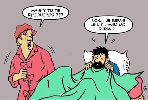 Quel talent, ce Monsieur Hergé ! 22