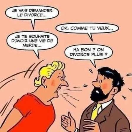 Quel talent, ce Monsieur Hergé ! 26