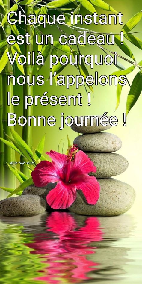 BONNE JOURNEE...