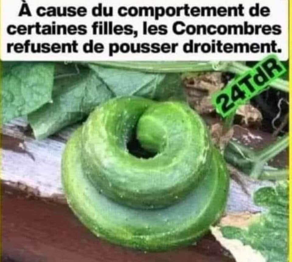 Concombre en Spirale dans un Jardin - Humour Végétal 