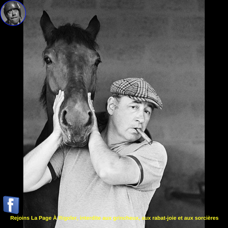 Philippe Noiret en vacances dans sa maison de campagne au Touquet. Il pose devant le box de son cheval Beaumaniere (1975) ❤️❤️