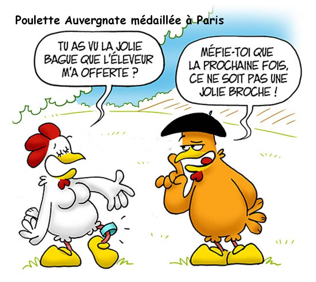 POULET D