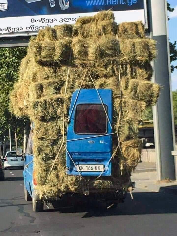 Quand il faut que ça rentre........faut que ça rentre.🤣🤣