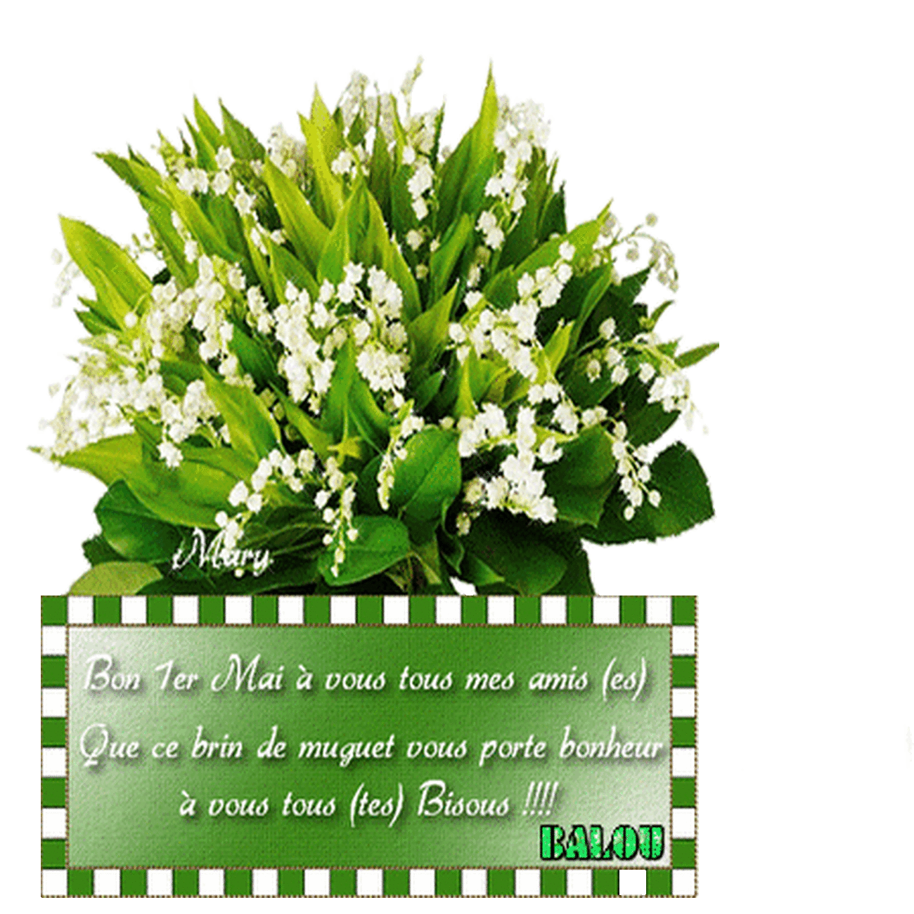  BON 1ER MAI A VOUS TOUS 🍃 