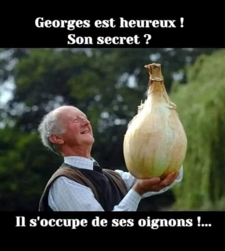 Bravo Georges