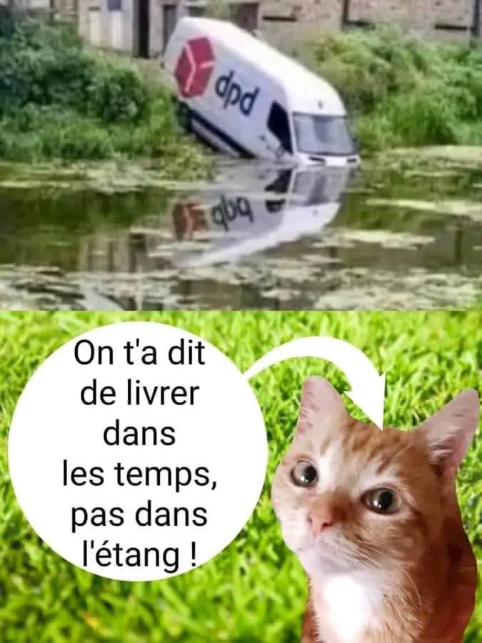 Humour 🐈‍⬛ 