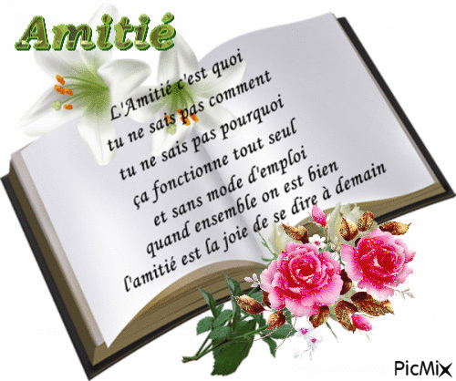 L’amitié 