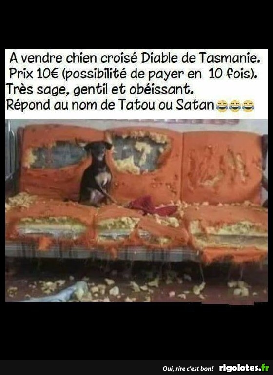 .