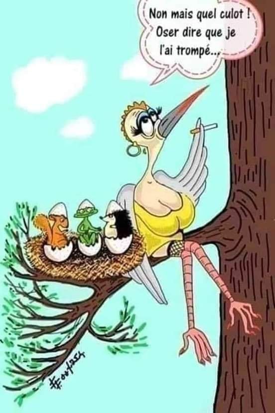 .