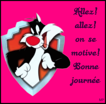 Bonjour 