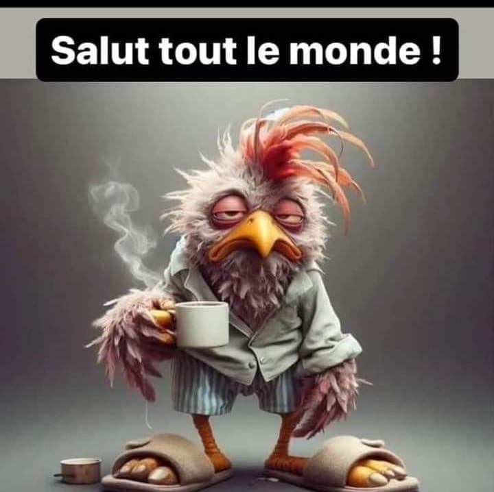 faut que je me réveille.....