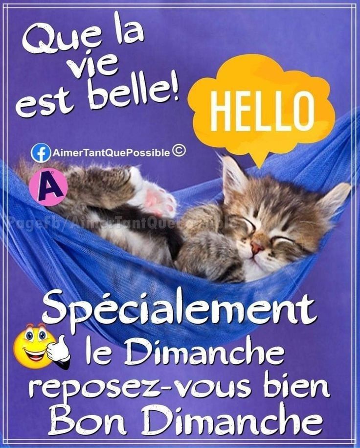 BONNE JOURNEE....