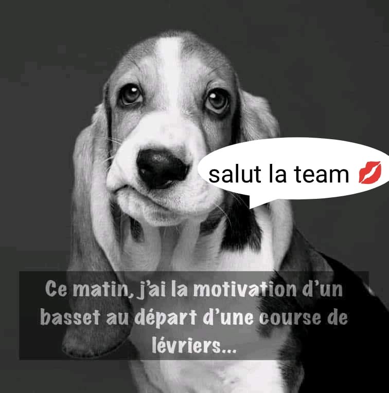 .