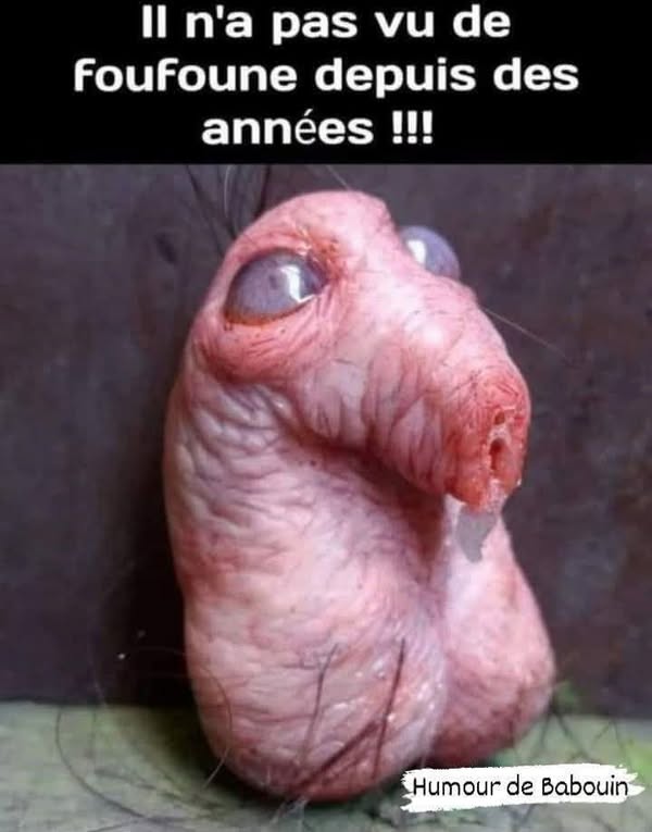 Non ça me fait peur ce regard 🤣🤣🤣🤣