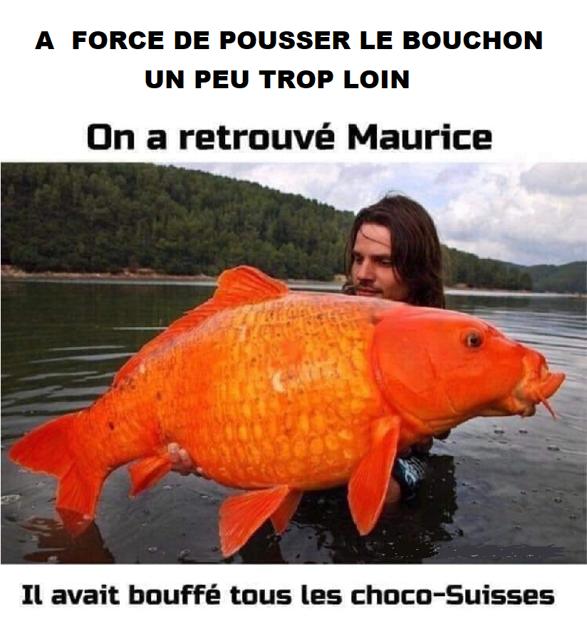  On à retrouvé Maurice❣️