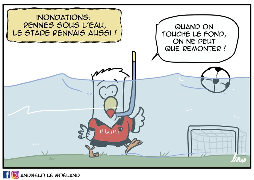 Faut mettre des palmes
