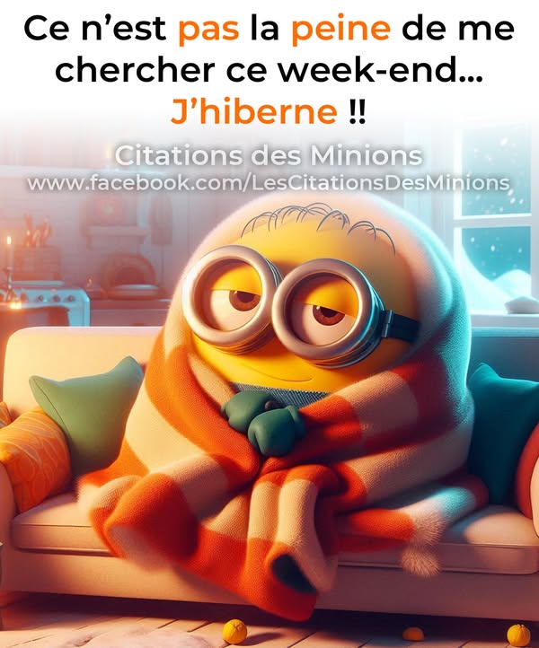 Je crois que je vais faire comme toi petit minion