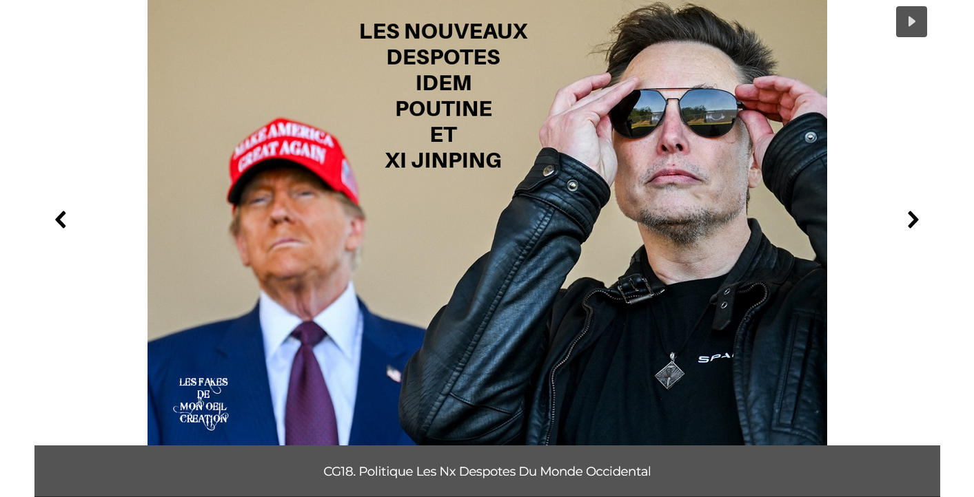 les nouveaux despotes 