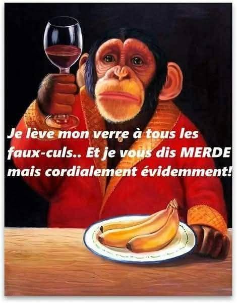 Même pas un verre dans leur bouche