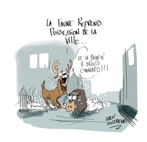 Cons finement... déjà 5 ans !…