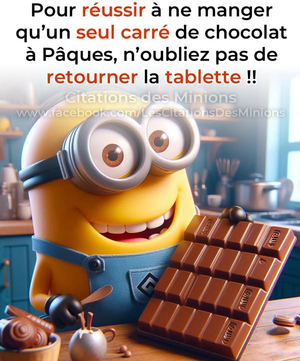     37   -                         Citations des Minions