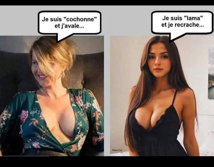 39  -  Je suis dans ligue de Défense des droits des animales...